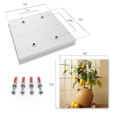 Lemons in a pitcher Wall mounted key box
