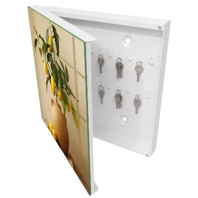 Lemons in a pitcher Wall mounted key box