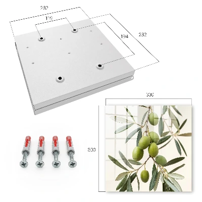 Branch with olives Key box for wall