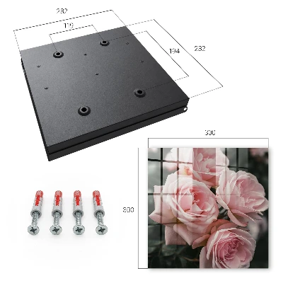 Pink roses Key cabinet