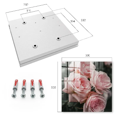 Pink roses Key cabinet