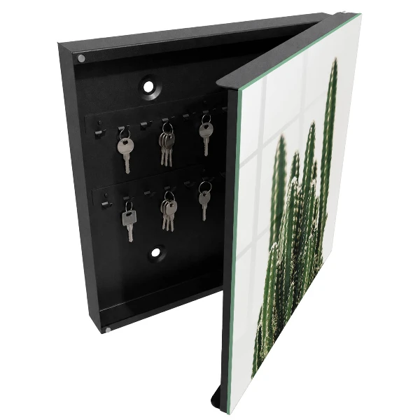 Green cacti Wall mounted key box