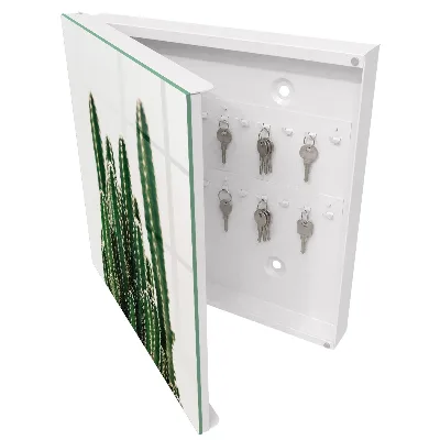 Green cacti wall mounted key box green cacti design