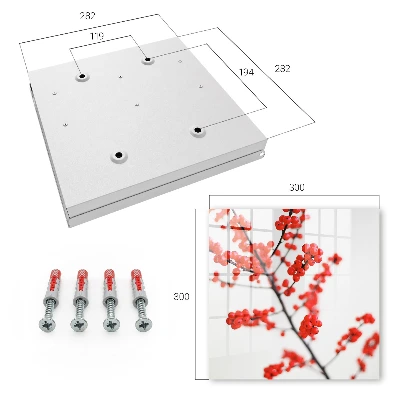 Red berries Wall mounted key box