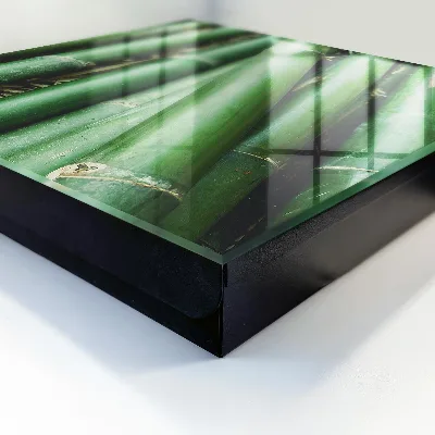 Green peace Wall mounted key box