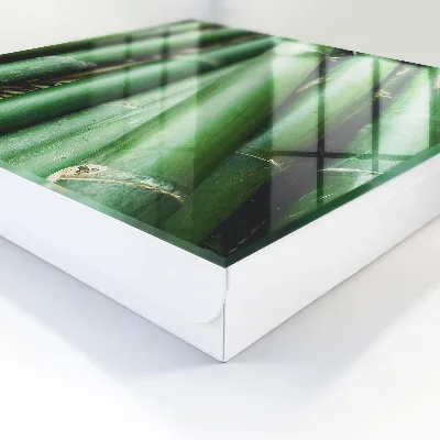 Green peace Wall mounted key box
