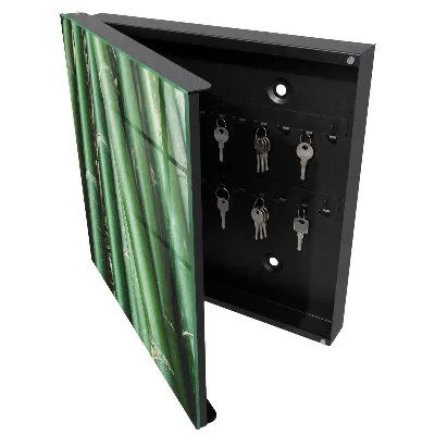 Wall mounted key box green peace finish