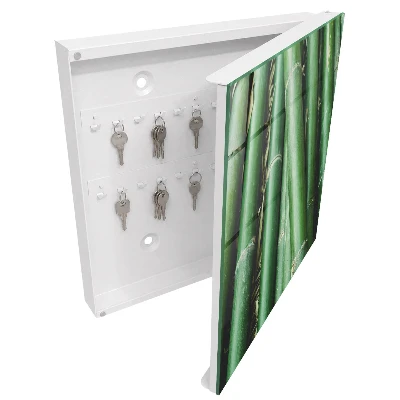 Green peace Wall mounted key box