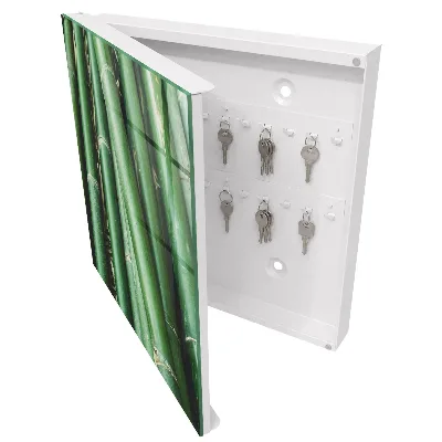 Green peace Wall mounted key box