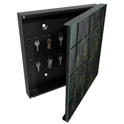 Green forest Key box for wall