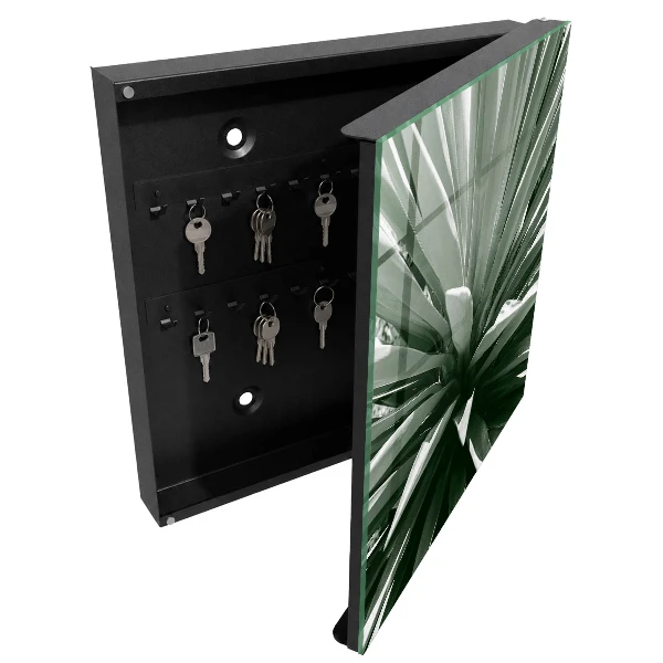Agave Key cabinet