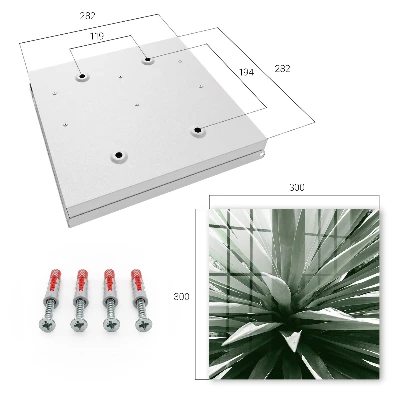 Agave Key cabinet