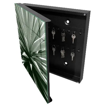 Agave Key cabinet