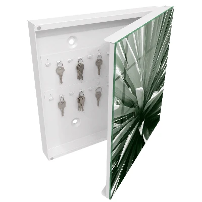Agave Key cabinet