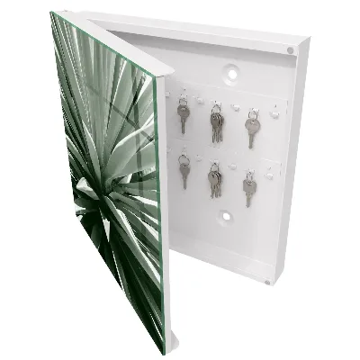 Agave Key cabinet