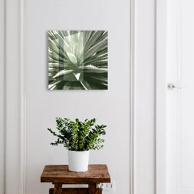 Agave Key cabinet