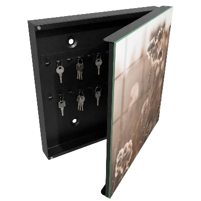 Natural lightness Wall mounted key box