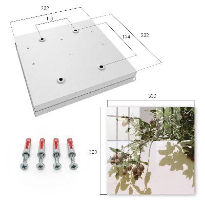 Olive twig Wall mounted key box