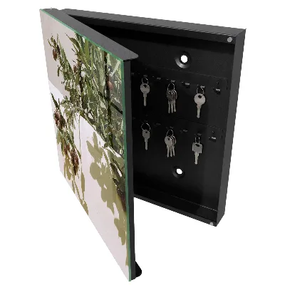 Olive twig Wall mounted key box