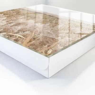 Desert harmony Key cabinet