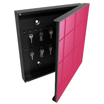 Vibrant pink Wall mounted key box