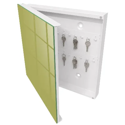 Vintage green Wall mounted key box