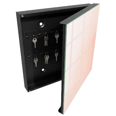 Pastel minimalism Wall mounted key box