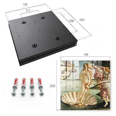 The Birth of Venus Key box for wall