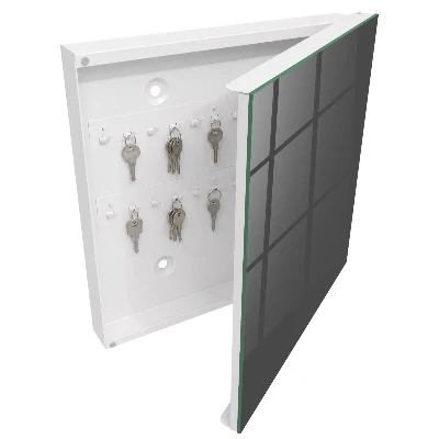 Dark grey Wall mounted key box