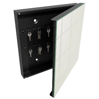 Trendy grey Wall mounted key box