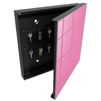 Cool pink Wall mounted key box