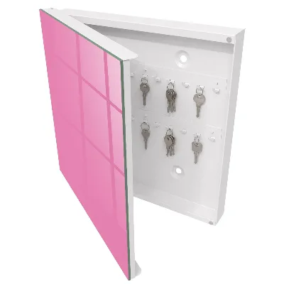 Cool pink Wall mounted key box