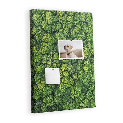 Pin board Forest trees nature