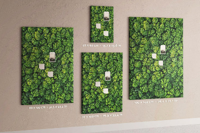 Pin board Forest trees nature