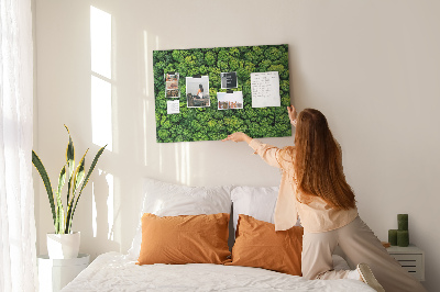 Memo cork board Green forest top view