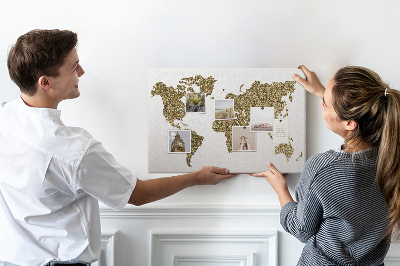 Pin board World map