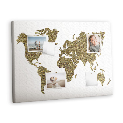 Pin board World map