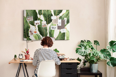 Cork board Palm leaves