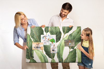 Cork board Palm leaves