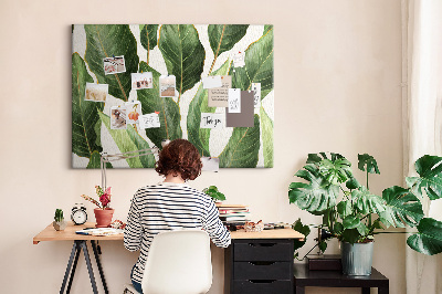 Cork board Palm leaves