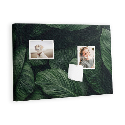 Pin board Tropical monstera