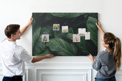 Pin board Tropical monstera