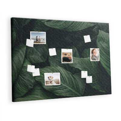 Pin board Tropical monstera