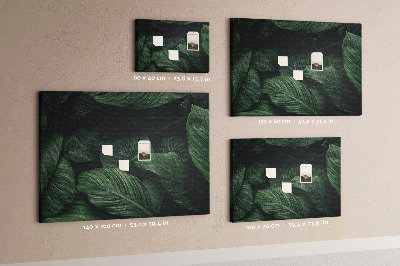 Pin board Tropical monstera