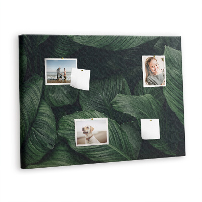 Pin board Tropical monstera