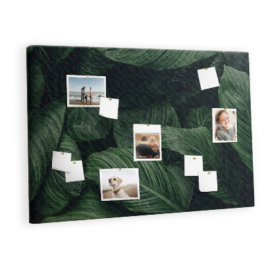 Pin board Tropical monstera