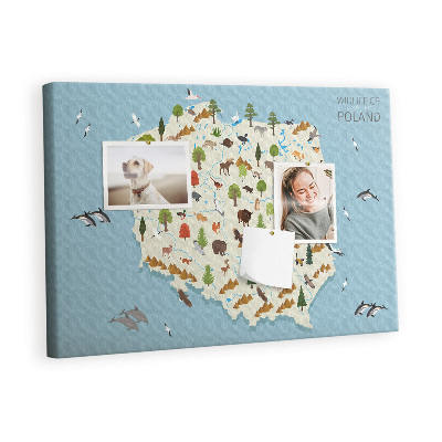 Pin board Poland wildlife map