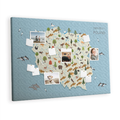 Pin board Poland wildlife map