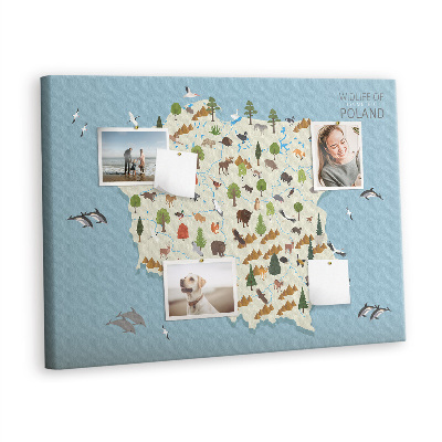 Pin board Poland wildlife map