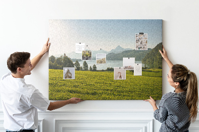 Pin board Field and mountains